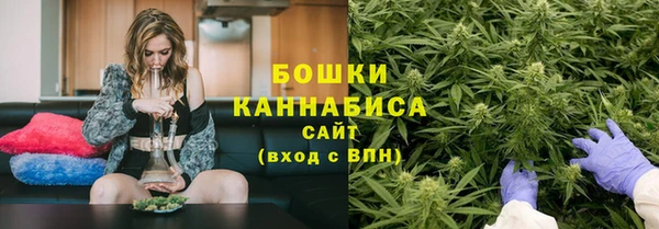 MESCALINE Аркадак